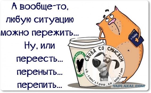 Веселые жизненные наблюдения из Вредного журнала