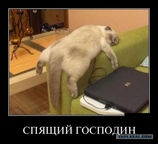 Подборка демотиваторов