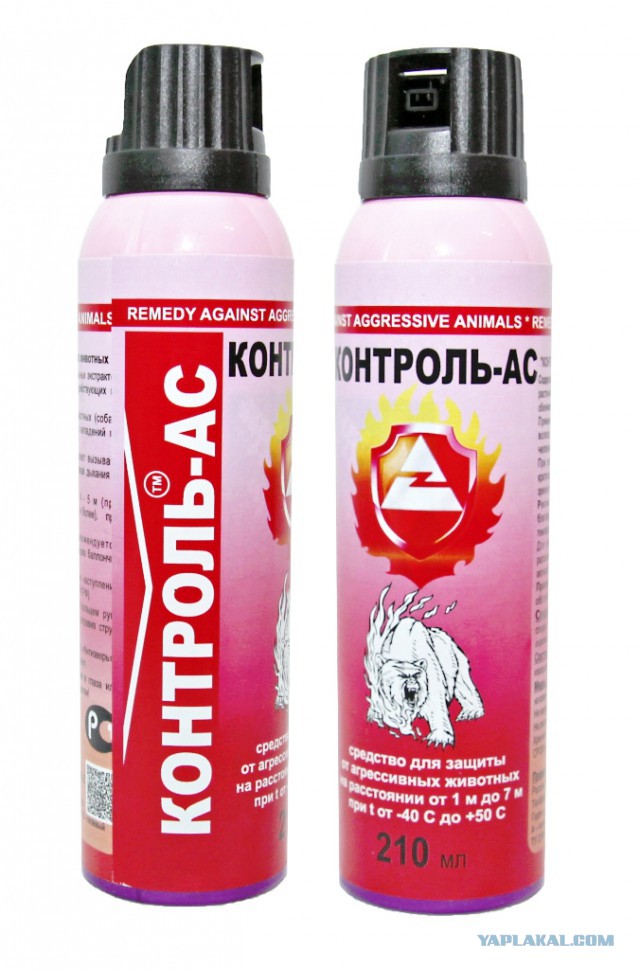 Собакофобия