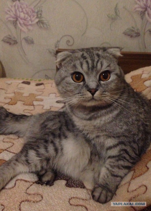 Вся правда об электронных сигаретах
