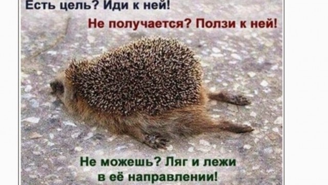 Прикольные картинки и демотиваторы