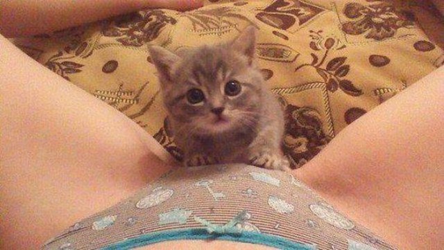 Весёлые картинки