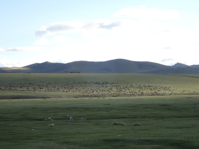 Путешествие по Монголии