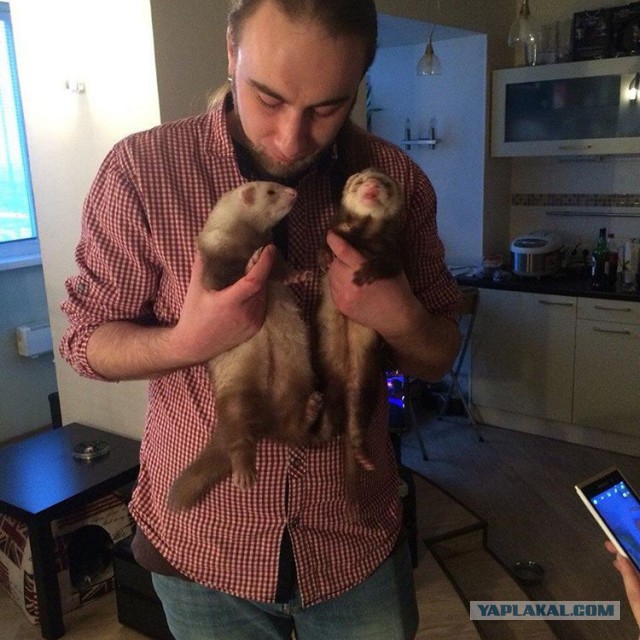 Вот такой улов. И хозяева уроды...