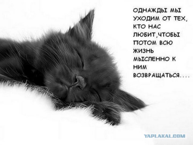 Попил пивка с бывшей