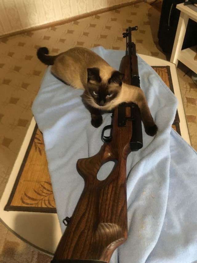СКС-45: карабин с неудачной судьбой