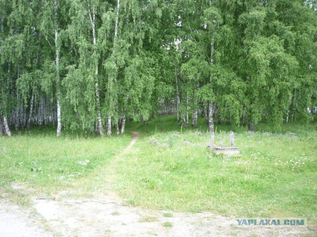 Мой родной сибирский поселок