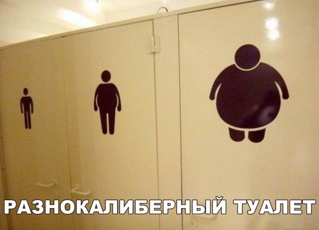 Смешные картинки
