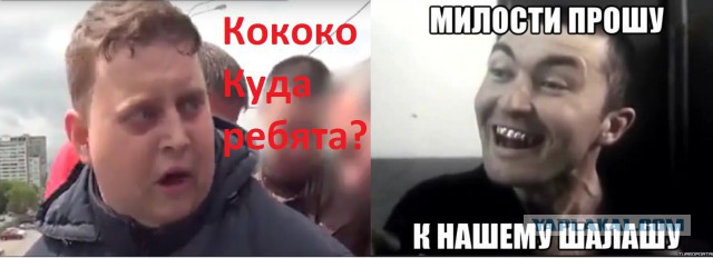 Видео задержания и допроса хозяина "группы смерти", чуть не сгубившего 32 школьника