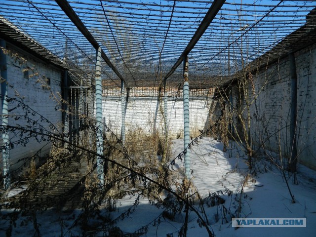 Отдельный дисциплинарный батальон №40 СибВО, Новосибирск