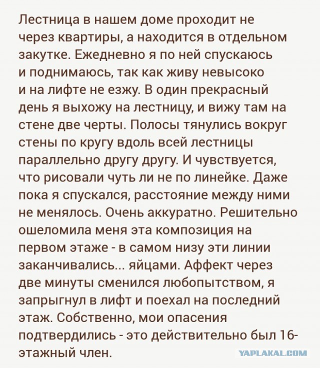 184 картинки для поднятия настроения!
