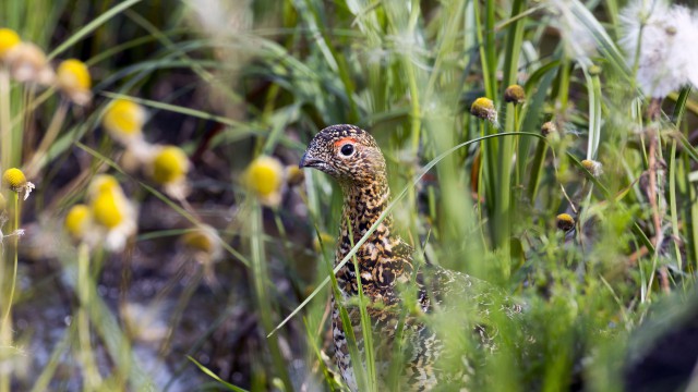 Просто Природа