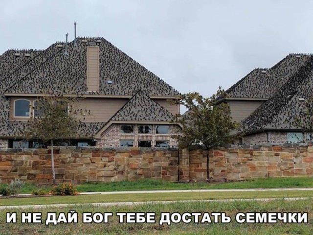Нестандартный юмор