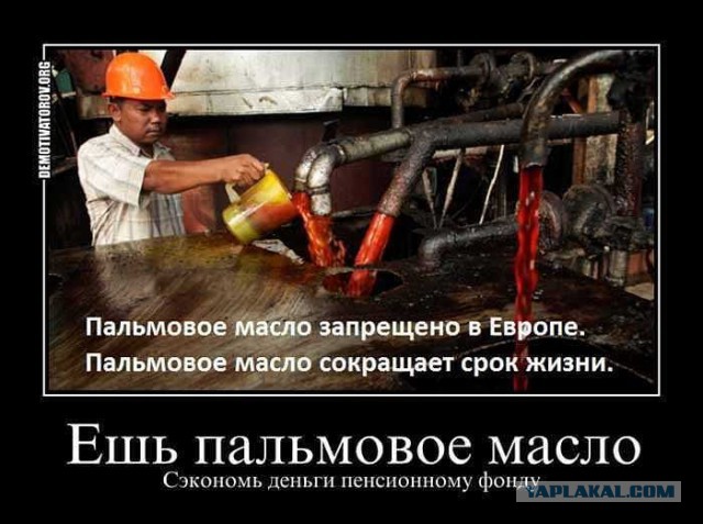 Росстат заявил о проблеме избыточного питания россиян