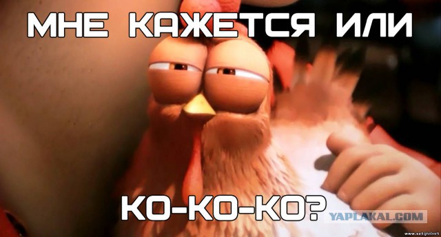 Прикольный бычара