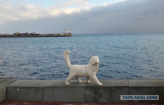 Тема про несчастного кота, в которой всем хорошим людям автор показывает сиськи!2