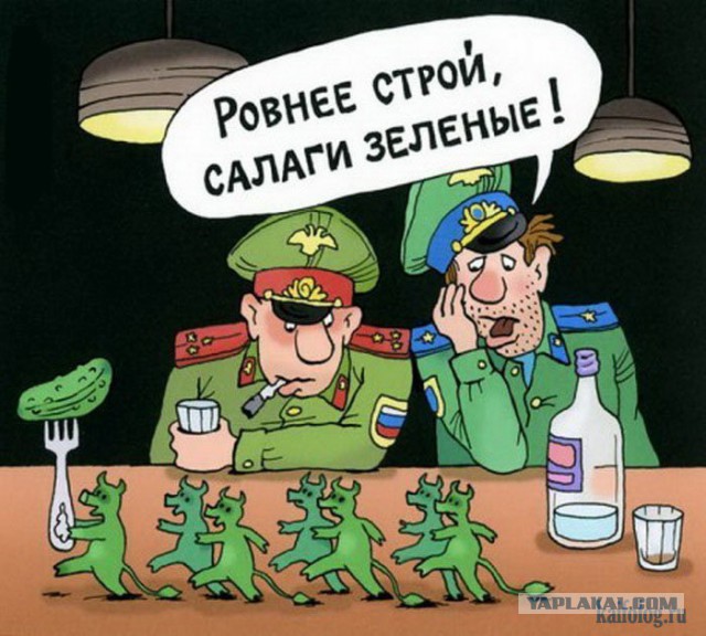 Сразу видно, что профессиональный генерал-полковник