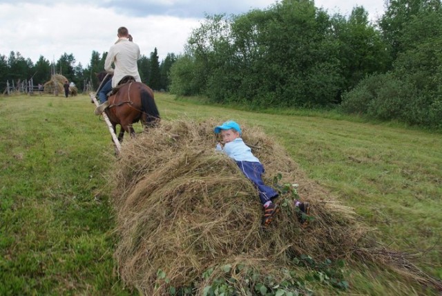 Каникулы в деревне