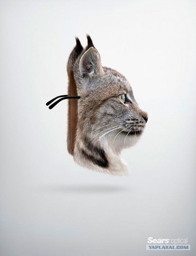 Лучшая печатная реклама