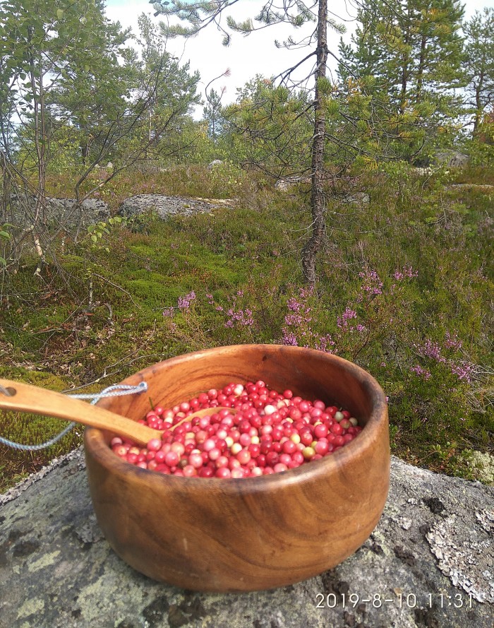 Северная Карелия. Белое море 2019