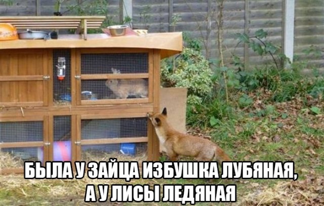 Чуток картинок 31.07.20