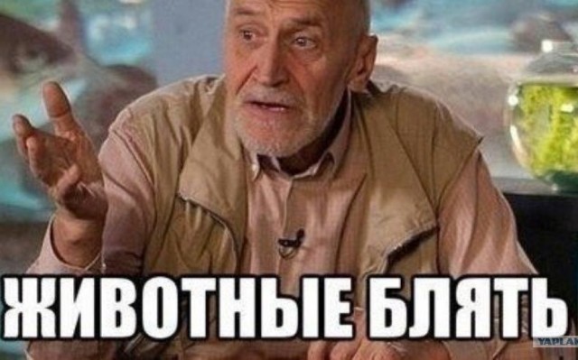 Ростовское быдло поехало отдыхать