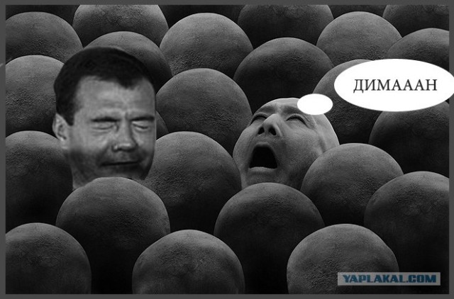 Димка мечтает