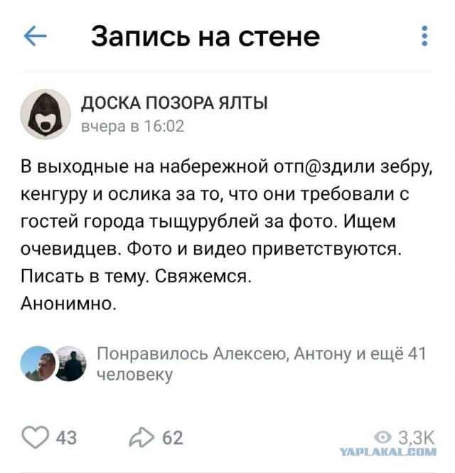 Сочинские полицейские задержали зазывал в костюмах животных
