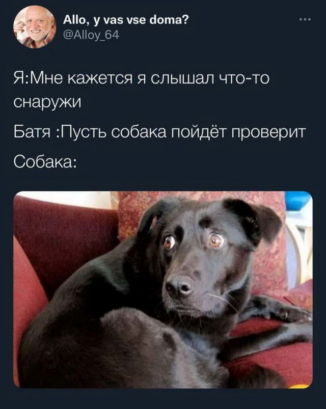 Картинки и мемы, всем прекрасных выходных