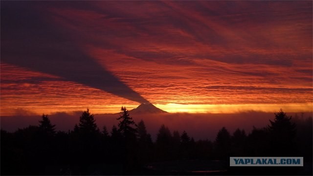 Гора Rainier. Тень на облаках ...