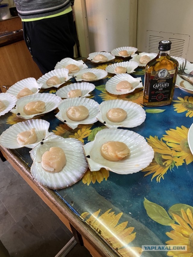 Кунашир. Море. Рыбалка