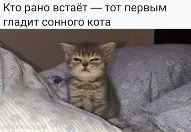 Картинки и мемы для настроения - 107