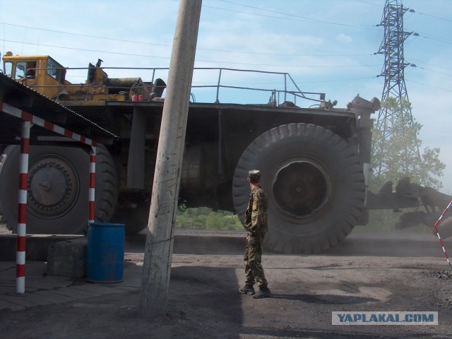 Японский эксперимент проверки шин.