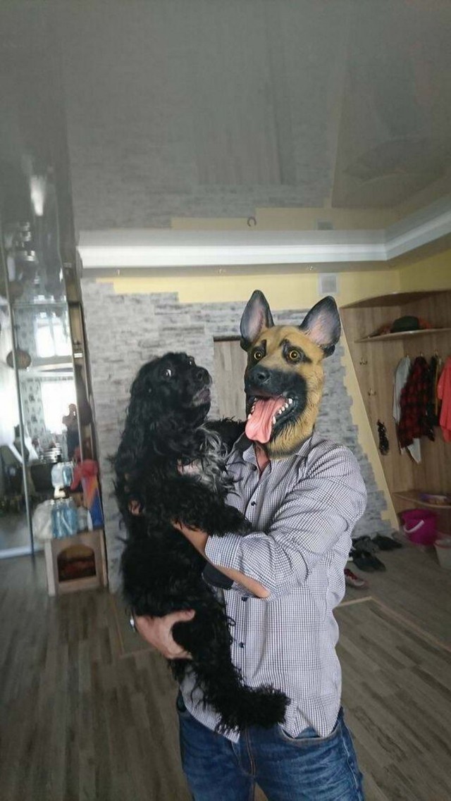Просто фотографии