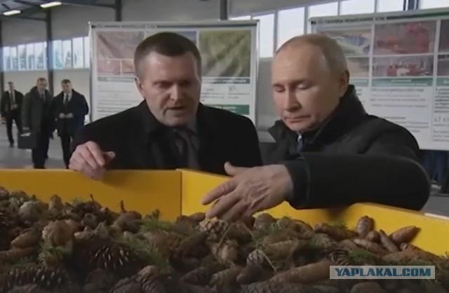Государственная Дума и Совет Федерации соберутся на внеплановое заседание 22 февраля