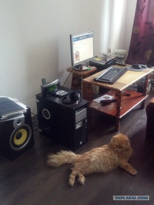 Наглость - второе счастье