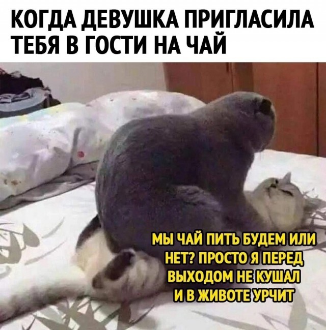 Всего понемногу. От 07.04