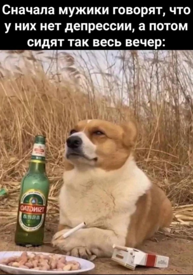 Нуштош 05.05.2023