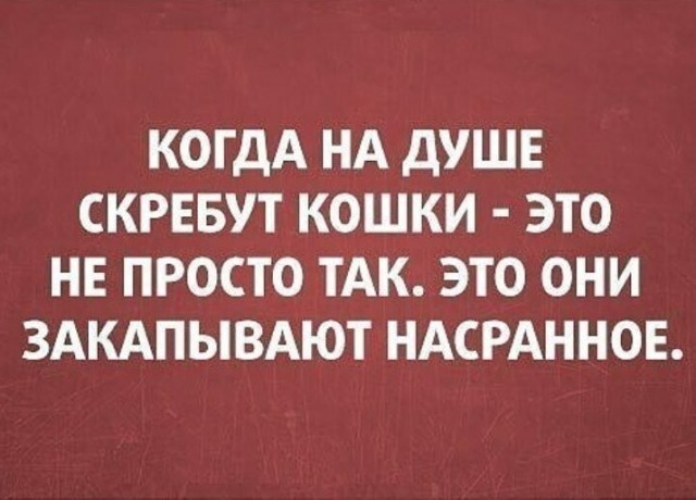 Так себе картинки 14.05.23