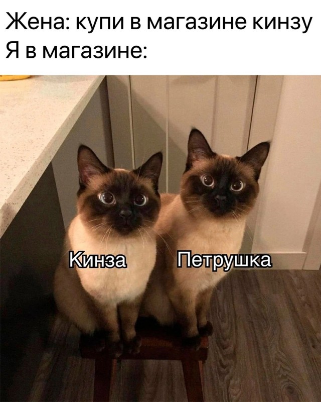 Так себе картинки 18.09.23