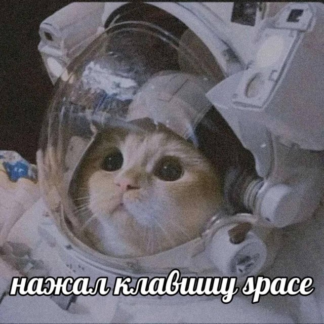 Нуштош 08.05.2024