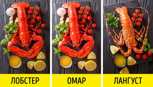 На такого рака никакого пива не хватит!