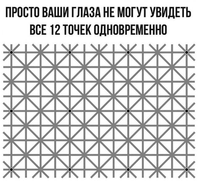 Прикольные и просто красивые картинки 07.06.2024
