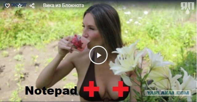 Вика из Блокнота