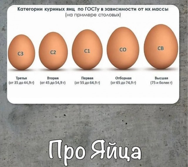 Красно-белые яйца. Продолжение