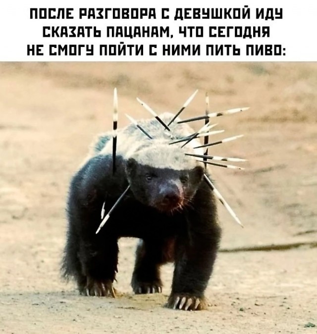 Картинки на вечер понедельника