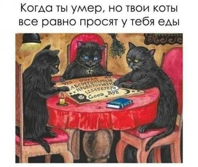 Кажется, в этом коте застрял Харитон.