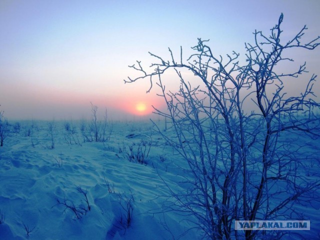 Норильск - ледяная планета