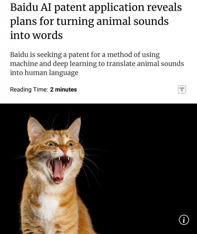 Перевод с кошачьего