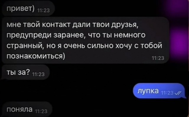 Сеня, дичь!